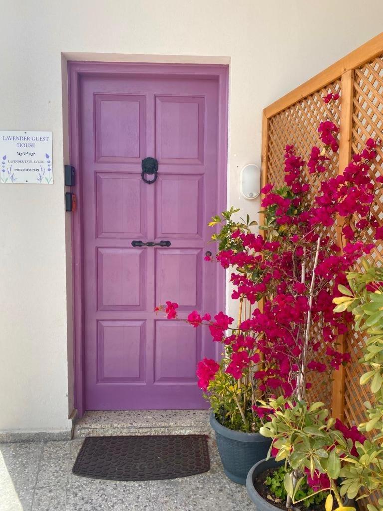 Lavender Homes, Walled City Famagusta  Zewnętrze zdjęcie
